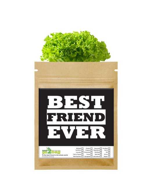 Garden Gift Bag™, Best Friend Ever - [ Garden Seeds, Seed2Go.ca] - S2G-GB-LG-BESTFRIEND - Seed2Go Large Garden Gift Bag™