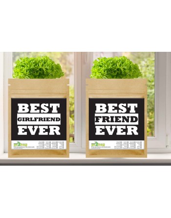 Garden Gift Bag™, Best Girlfriend Ever - [ Garden Seeds, Seed2Go.ca] - S2G-GB-LG-BESTFGF - Seed2Go Large Garden Gift Bag™