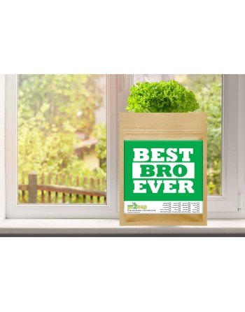 Garden Gift Bag™, Best Brother Ever - [ Garden Seeds, Seed2Go.ca] - S2G-GB-LG-BESTBRO - Seed2Go Large Garden Gift Bag™