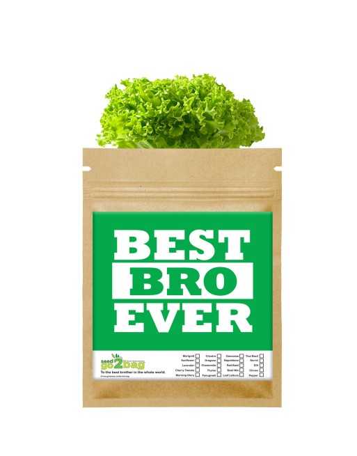 Garden Gift Bag™, Best Brother Ever - [ Garden Seeds, Seed2Go.ca] - S2G-GB-LG-BESTBRO - Seed2Go Large Garden Gift Bag™