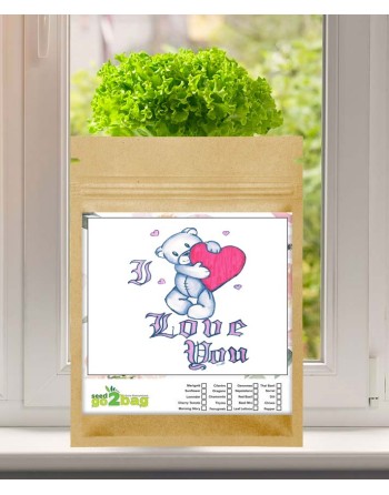Garden Gift Bag™, Children/Adults Can Draw/Paint Anything - [ Garden Seeds, Seed2Go.ca] - S2G-GB-LG-DRAW - Seed2Go Large Garden 