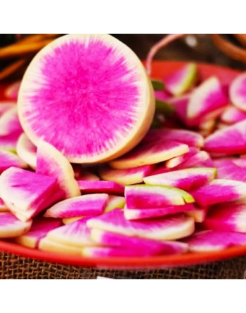 Chinese Radish Seeds, Mantanghong Beauty Heart Radish - [ Shop Canadian Seeds Online ]  - Radish - 