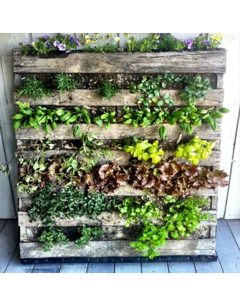 Pallet Garden Plan - 2