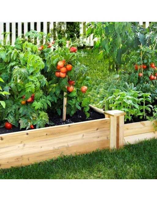 Raised Garden Bed Gardening Plans Plan 2 - 1