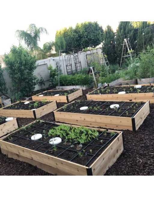 Multi-Bed Garden Plan - 1