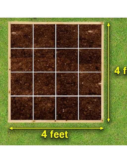 4×4 Foot Square Foot Gardening - 1