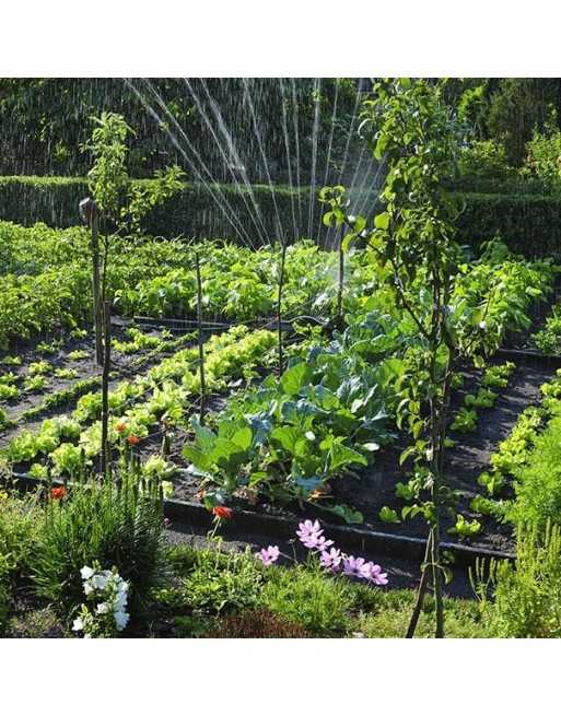 The 'Looker'/Stunner Gardening Plan - 1