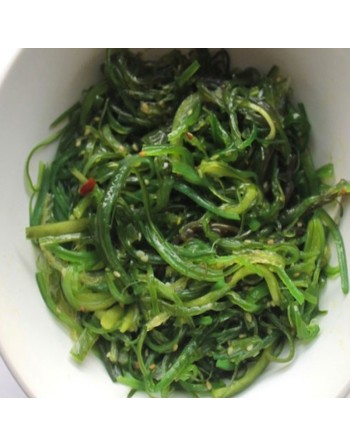 Land Seaweed Seeds, Japanese, Salsola Okahijiki Komarovii - [ Shop Canadian Seeds Online ]  - Seaweed - 