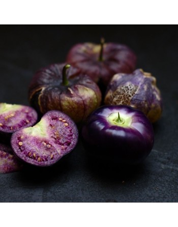 Toma Purple Tomatillo Seeds, Little Tomato, Mexican, Purple Salsa - [ Seed2Go.ca ] - [Seed Packets] - Tomatillo - 