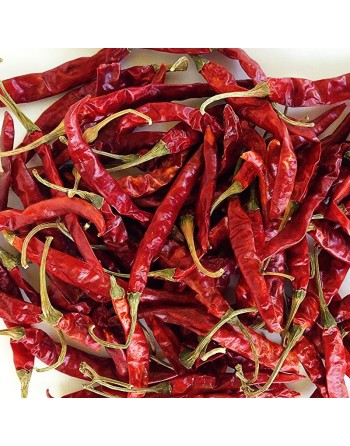 Chile de Arbol, Mexican Pepper Seeds, Birds Beak, Rat's Tail, Tree Chili - [ Shop Canadian Seeds Online ]  - Pepper Seeds - 