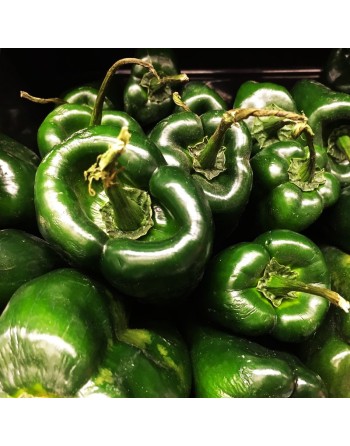 Premium Poblano Ancho Gigantea Green Pepper, Frying Pepper, BBQ, Pueblo Mexico Pepper Seeds - [ Seed2Go.ca ] - [Seed Packets] - 