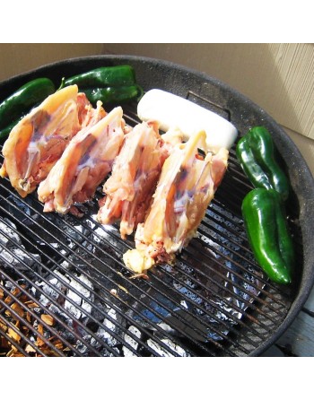 Premium Poblano Ancho Gigantea Green Pepper, Frying Pepper, BBQ, Pueblo Mexico Pepper Seeds - [ Seed2Go.ca ] - [Seed Packets] - 