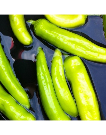 Hot Friariello Pepper of Napoli,  Peperone Friariello, Italian Frying Pepper, Naples Italy Pepper Seeds - [ Seed2Go.ca ] - [Seed