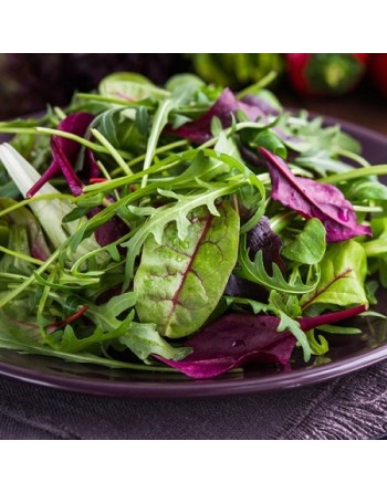Baby Leaf Lettuce Mix, Come & Cut Again Mix, Miscuglio Di Lattuga Di Taglio - [ Garden Seeds, Seed2Go.ca] - V-BLM - Lettuce