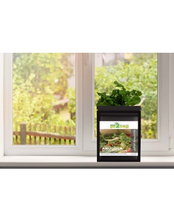 Garden Bag™, Black, Arugula Rocket Lettuce - [ Shop Canadian Seeds Online ]  - Seed2Go Vegetable & Herb Garden Bag™ - 