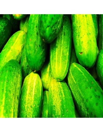 Homemade Pickles Cucumber Seeds, High Yielding, Pickling Cucumber - [ Shop Canadian Seeds Online ]  - Pickling Cucumbers - 