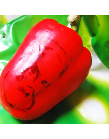 Yolo Wonder Red Bell Pepper, Sweet Pepper Seeds - [ Shop Canadian Seeds Online ]  - Pepper Seeds - 