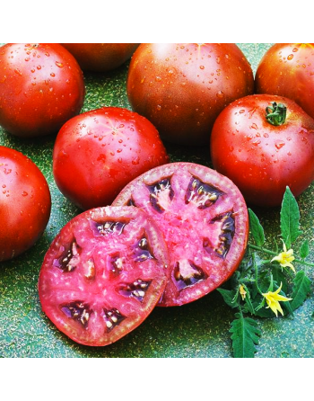 Black Prince Tomato Seeds, Organic, Russian - [ Shop Canadian Seeds Online ]  - Tomato Seeds - 