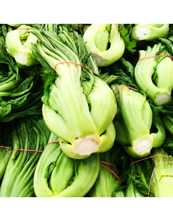 Gai Choy Chinese Mustard Green, Jiè cài (芥菜)  Chinese, Four Seasons Chun Cai, Stemmed Mustard, Heart Mustard, Swatow mustard - [