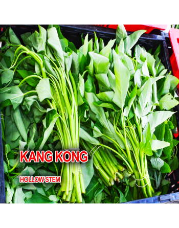 Ipomoea Aquatica Water Spinach L.P.1, Kang Kong, Ong Choy, Swamp Cabbage, River Spinach, Hollow Stem - [ Shop Canadian Seeds Onl