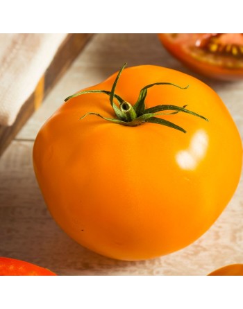 Golden Jubilee Tomato, Large & Delicious Tomato, 30 Seeds - [ Shop Canadian Seeds Online ]  - Tomato Seeds - 