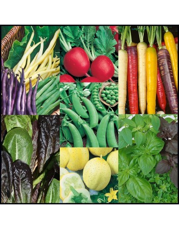 Bulk Vegetable & Herb Seed Retail Packets, Combo 50 Pack - [ Seed2Go.ca ] - [Seed Packets] - Bulk Packets Combo Packs - 