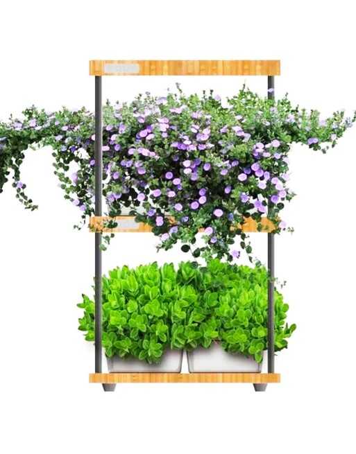 INTELLIGROW Indoor Growing Light Kit, Premium, Soilless, with Automatic Timer Cycles, 32 Pods, 12-16 Hours - [ Seed2Go - Canada 