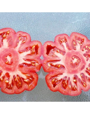 Costoluto Genovese Tomato Seeds, Intense Italian Original - [ Seed2Go.ca ] - [Seed Packets] - Tomato Seeds - 