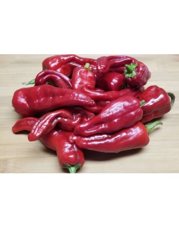 Martinez Red Chimayo Mexican Pepper, Pueblo Indians, Spice & Sweet - [ Shop Canadian Seeds Online ]  - Pepper Seeds - 