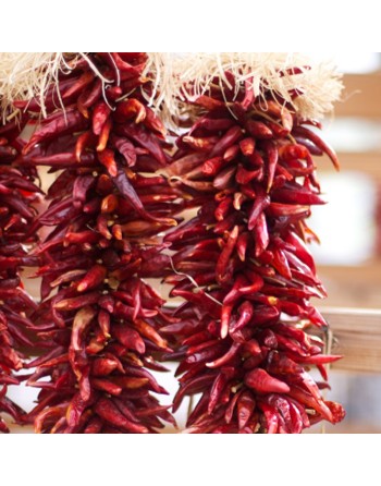 Martinez Red Chimayo Mexican Pepper, Pueblo Indians, Spice & Sweet - [ Shop Canadian Seeds Online ]  - Pepper Seeds - 