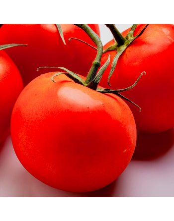 Marglobe Supreme Tomato Seeds, Classic Marvel & Globe - [ Shop Canadian Seeds Online ]  - Tomato Seeds - 