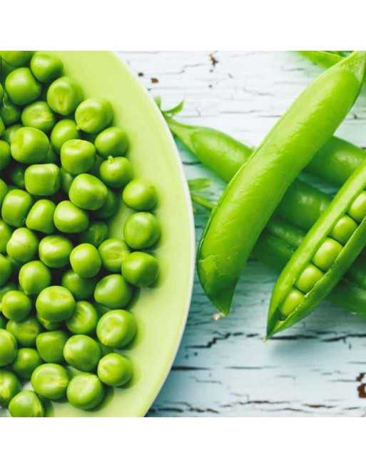 Bulk Bean/Pea Seed Packets, Combo 50 Pack - [ Seed2Go.ca ] - [Seed Packets] - Bulk Packets Combo Packs - 