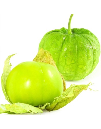 Toma Verde Tomatillo, Little Tomato Seeds, Mexican, Green Salsa - [ Shop Canadian Seeds Online ]  - Tomatillo - 