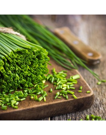 Traditional Onion Chives, Hardy Perennial Herb, Onion Chive Seeds - [ Seed2Go.ca ] - [Seed Packets] - Herb Seeds - 