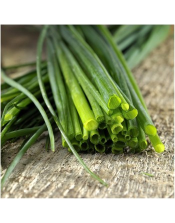 Traditional Onion Chives, Hardy Perennial Herb, Onion Chive Seeds - [ Seed2Go.ca ] - [Seed Packets] - Herb Seeds - 