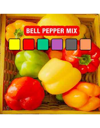 Super Bell Pepper Mix, Green, Orange, Golden Yellow, Red, Chocolate, Purple Pepper Seeds - [ Shop Canadian Seeds Online ]  - Pep