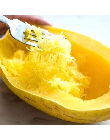 Spaghetti Squash Seeds, Winter Squash, Vine - [ Shop Canadian Seeds Online ]  - Squash - 