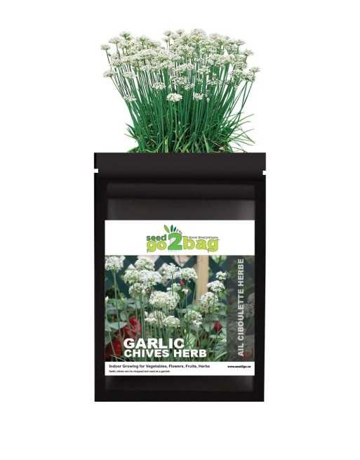 Garden Bag™, Black, Garlic Chives - [ Shop Canadian Seeds Online ]  - Seed2Go Vegetable & Herb Garden Bag™ - 