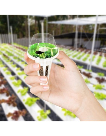 INTELLIGROW Indoor Humidity Homes, Greenhouse Effect, 2", Pack of 50 - [ Garden Seeds, Seed2Go.ca] - S2G-AR-ID-50 - Indoor Growi