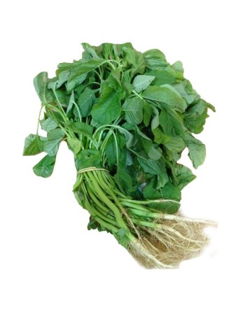 Green Callaloo Mulai Keerai Amaranthus Amaranth Seeds, Southern India, Spinach, முளை கீரை விதைகள் - [ Shop Canadian Seeds Online