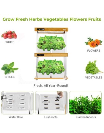 INTELLIGROW Indoor Growing Light Kit, Premium, Soilless, with Automatic Timer Cycles, 32 Pods, 12-16 Hours - [ Seed2Go - Canada 