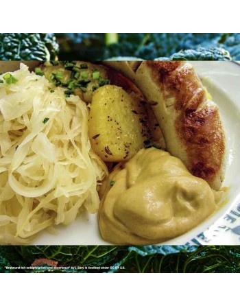 Sauerkraut Glory of Dutch Cabbage, Late Flat Dutch Cabbage Seeds - [ Shop Canadian Seeds Online ]  - Cabbage - 