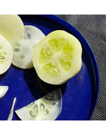 Crystal Apple Cucumber, Cucumber Seeds, Australia - [ Shop Canadian Seeds Online ]  - Cucumber - 