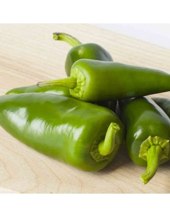 Green Jalapeño Hot Pepper Seeds, Green Chili - [ Shop Canadian Seeds Online ]  - Pepper Seeds - 