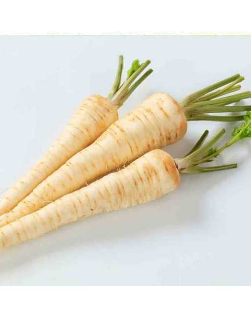 Root Parsley - [ Garden Seeds, Seed2Go.ca] - VG-RP - Vegetable Seeds