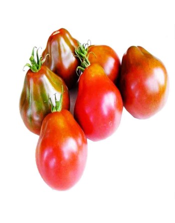 Japanese Black Trifele ORG Tomato Seeds, Raw Sauce - [ Seed2Go.ca ] - [Seed Packets] - Tomato Seeds - 