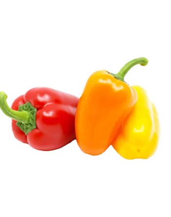 Mixed Baby Sweet Pepper - 3 Colors - Red, Yellow, and Orange Pepper Seeds - [ Seed2Go.ca ] - [Seed Packets] - Pepper Seeds - 