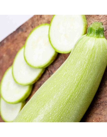 Baby Grey Zucchini, Calabacita, Mexican Grey Squash, Kousa Squash Seeds - [ Shop Canadian Seeds Online ]  - Zucchini - 