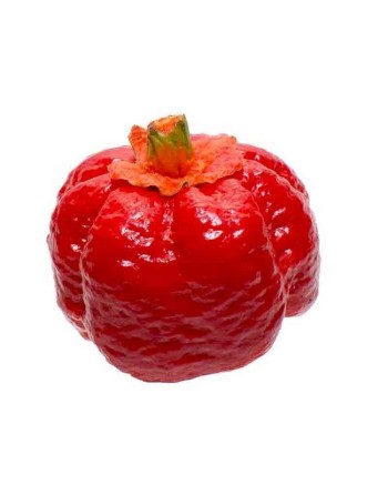 Red Treasure 7-Pot Bubble Gum Pepper, Trinidad & Tobago  Pepper Seeds - [ Shop Canadian Seeds Online ]  - Pepper Seeds - 