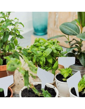 INTELLIGROW Plant T-Markers, Plastic, 100 Pack, 4" x 2.5" - [ Garden Seeds, Seed2Go.ca] - IT-MARKERS - Seed Starters